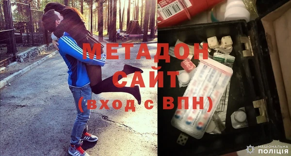 прущие грибы Заволжье
