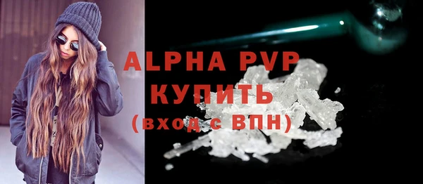прущие грибы Заволжье