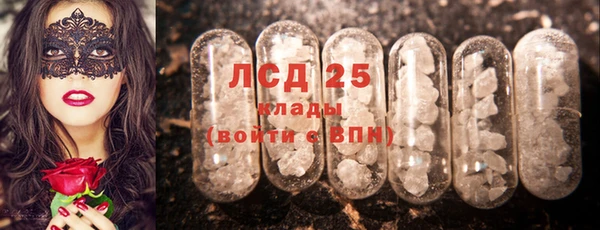 крисы Заводоуковск