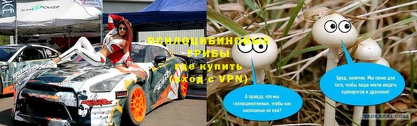 прущие грибы Заволжье