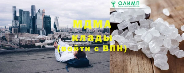 прущие грибы Заволжье
