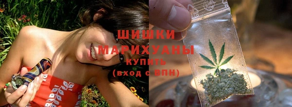 прущие грибы Заволжье