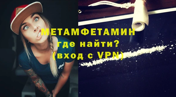 прущие грибы Заволжье
